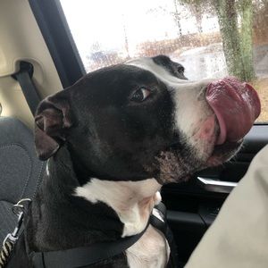 Meet your Posher, Paige